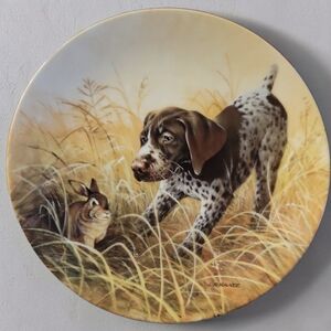 Vtg 88 German Shorthaired Pointer Field Puppies Fritz's Folly UKC Dog Plate
